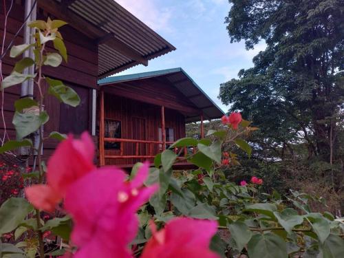 A szálláshely kívülről, Cabaña Finca el Corteza (Cabana Finca el Corteza) in Fortuna