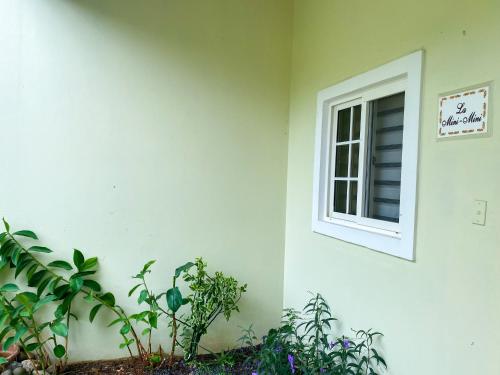 Oasis de Tranquilidad