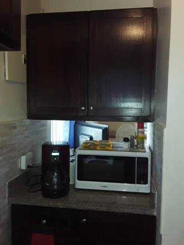 Studio Apt on 7 Mile Beach at Negril Beach Club, Negril (Foto 7)