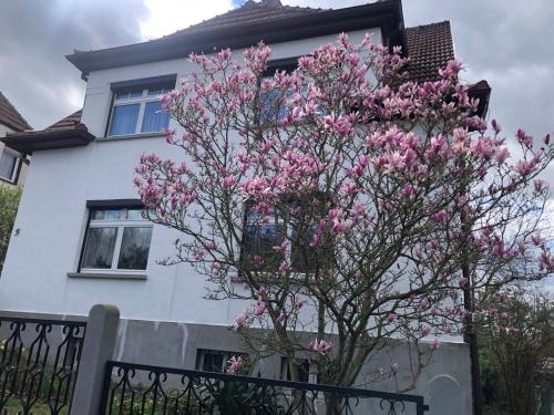 A szálláshely kívülről, Talblick in Apolda