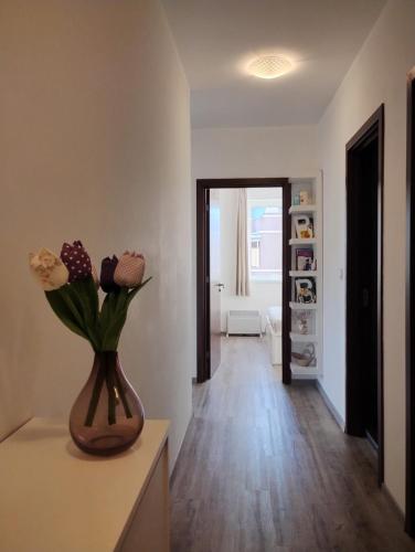 Happy Apartment & Free Breakfast - Mladost, Sofia (photo 11)