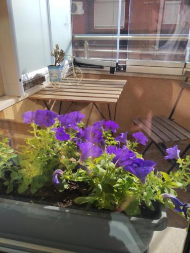 Happy Apartment & Free Breakfast - Mladost, Sofia (photo 10)