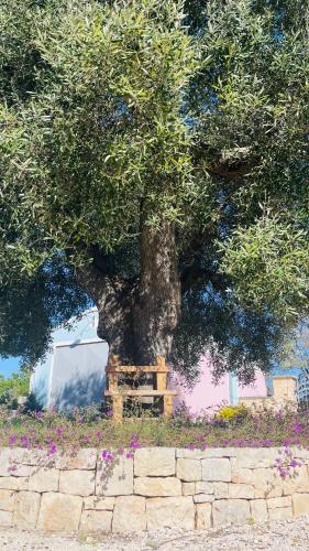 Masseria Trullo Sovrano Exclusive B&B – Cisternino, AR
