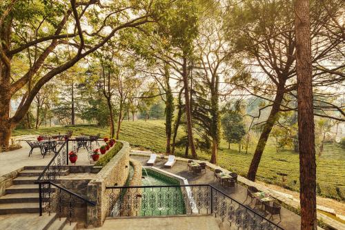 Mat og drikke, INFINITEA Dakbunglow Palampur in Lohna