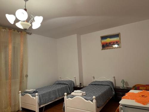 Stanze private in appartamento in Udine