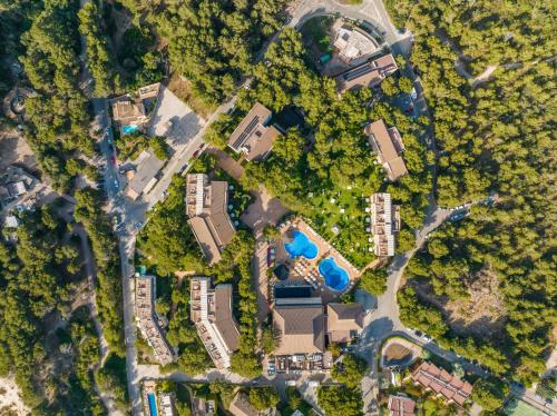 VIVA Suites & Spa Adults Only 16+ - image 9