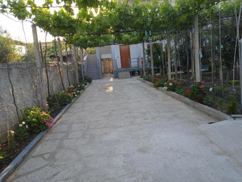 Vila N Dervishi