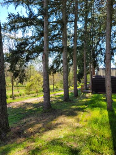 Les Cabanes de la Petite Sapinière