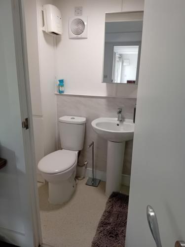 Private Self Contained Annex/Cabin, Birmingham (foto 9)