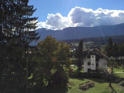 Foto - Pension & Apartments Waldkrieber