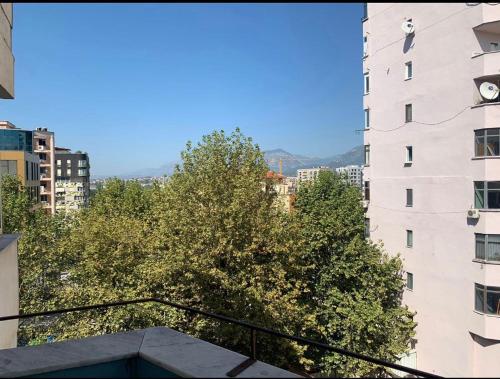 Near center apartment, Tirana (photo 9)