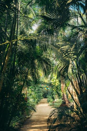 Junto al Rio Bungalows & Suites in Sayulita, Mexico