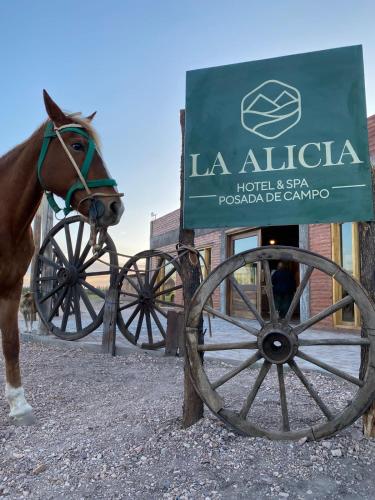 La Alicia Hotel - Posada de Campo