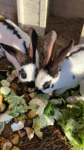Gîte - La Ferme à la Plage (Gite - La Ferme a la Plage) in 拉溥