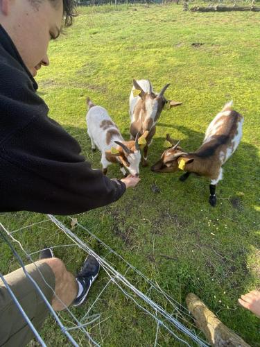Gîte - La Ferme à la Plage (Gite - La Ferme a la Plage) in 拉溥
