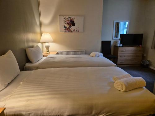 Trecarn Hotel - image 3