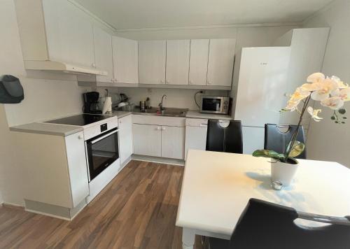 Lassiebyn 10 Entire Apartment with Parking & Kitchen in Syssleback