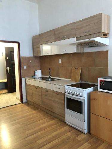 Konyha, Apartmány Pražská (Apartmany Prazska) in usti nad Labem