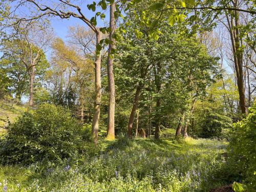 Dunburgh Wood