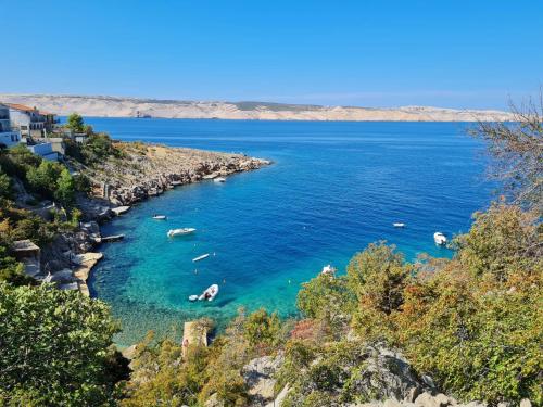 Apartma Mini Lux Prizna