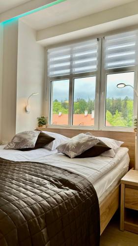 Apartamenty Sun and Ski Centrum Szklarska Poręba, Szklarska Poręba (foto 10)
