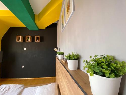 Mickitos Urban Hostel, Skopje (foto 9)