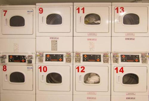 Alma Rentals Palermo - Photo 3