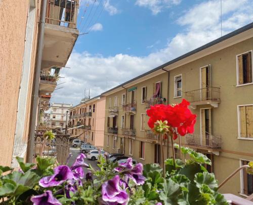 Gris Apartment: Venice-Mestre - image 9