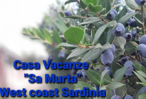 Casa Vacanza Sa Murta