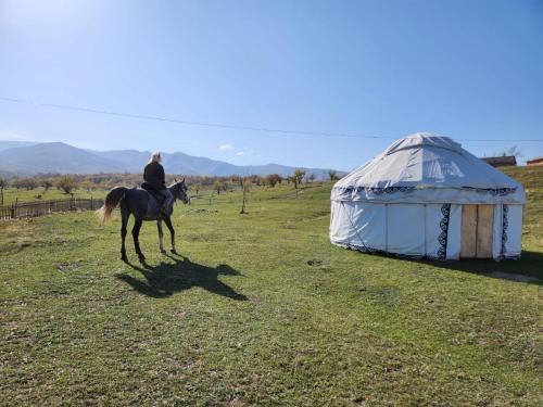 Юрта Qyran, Türgen (foto 8)