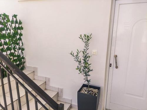 Family Serenity House Family Serenity House