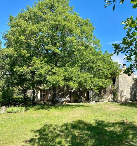 La Bastide des Chênes Lacoste