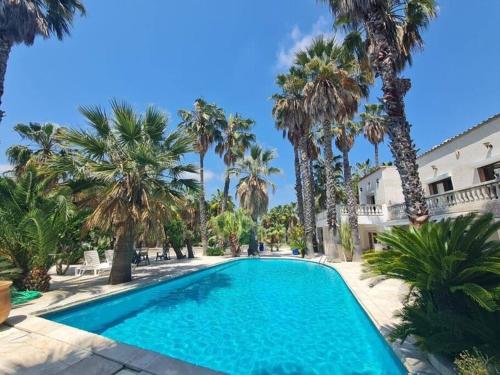 Superbe Villa avec Piscine Palmier et Vue - Location, gîte - Biot