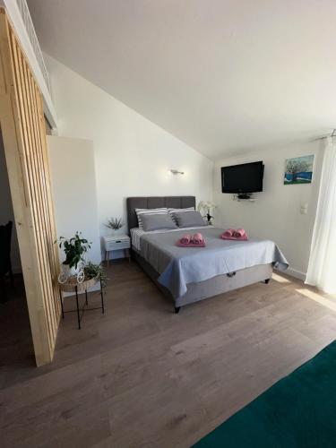 Apartment Lanterna