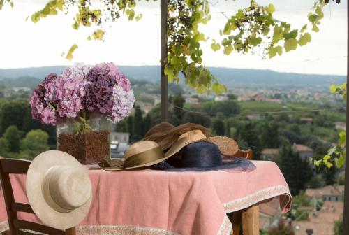 Vite in Rosa La Casetta - Valdobbiadene