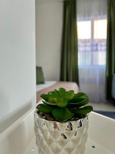 Vilele Bianca Vilele Bianca