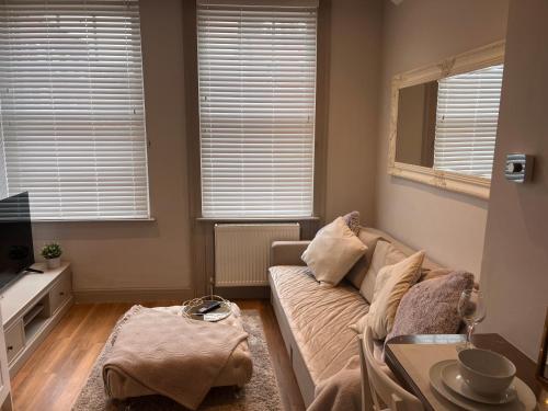 Central private 1 bed flat, Reading (fotografie 3)
