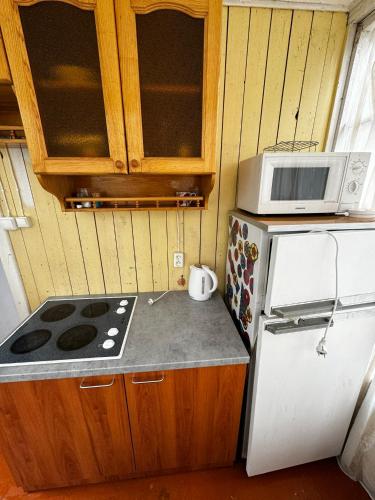 Vasaras mājiņa pie Rāznas ezera Nr 6 (Vasaras majina pie Raznas ezera Nr 6) in Kaunata