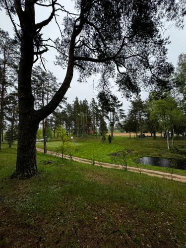 Vasaras mājiņa pie Rāznas ezera Nr 6 (Vasaras majina pie Raznas ezera Nr 6) in Kaunata