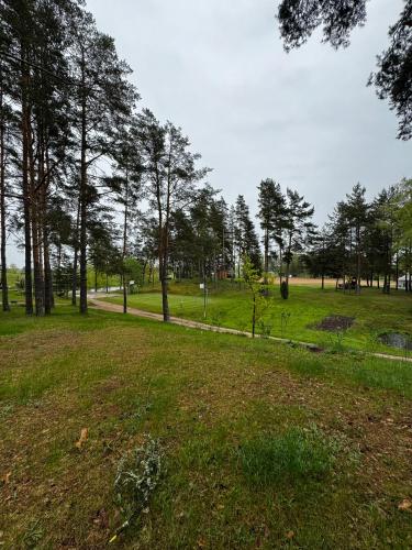 Vasaras mājiņa pie Rāznas ezera Nr 7 (Vasaras majina pie Raznas ezera Nr 7) in Kaunata