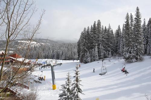 Beaver Run Resort 4333 by Great Western Lodging detail