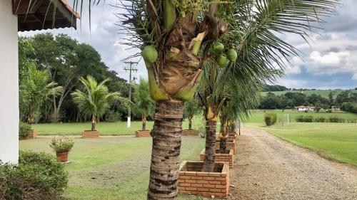 Sítio São Luiz, R1: Desfrute da Natureza e Relaxe