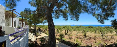 Studios Crete, Ferma (Foto 9)