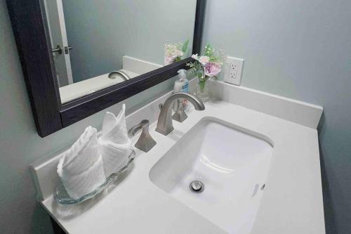 Quiet Guest Suite in Beautiful Victoria Core in Victoria, Canada