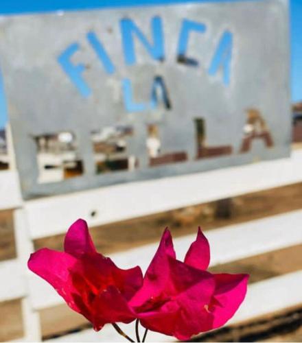 Finca la Bella in Ensenada