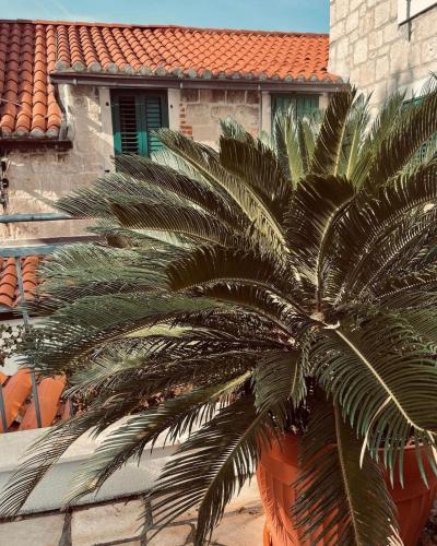 Villa Saint Lucas, Spalato (Split) (foto 5)
