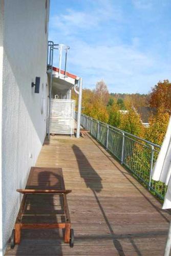 Schneeeule 203 in Granzow, Deutschland