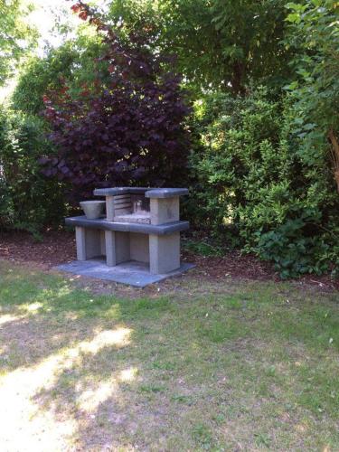 Wildgans 87, Mirow (photo 6)