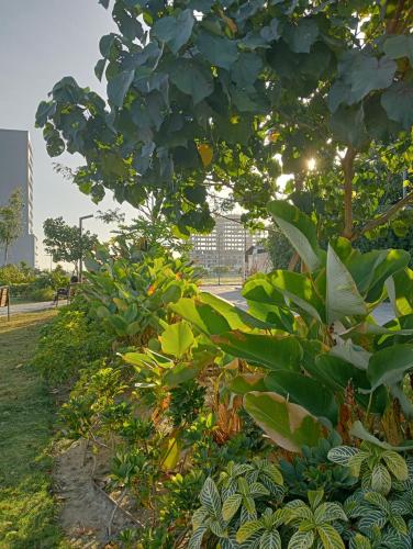 Suite by Xavie The Verdin by MAPLE Grove, General Trias (Foto 9)