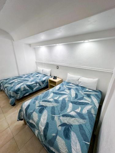 Hotel Nueva Zelanda in León, Mexico
